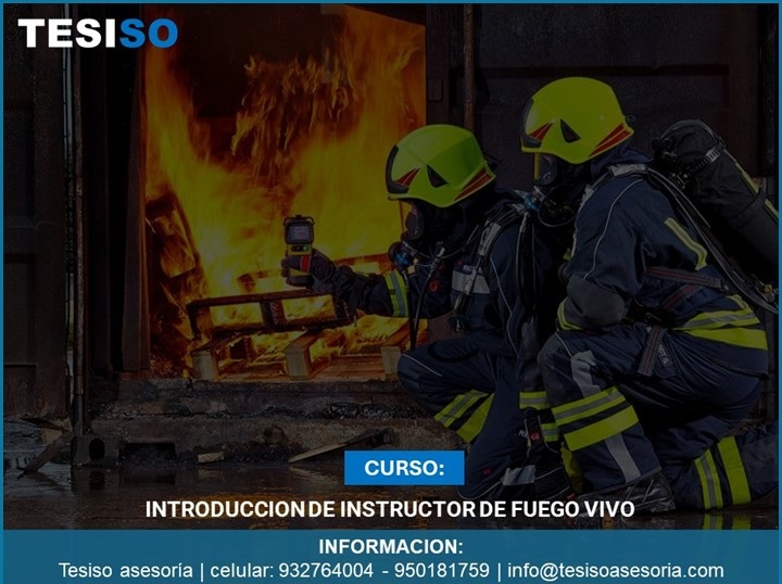 Curso 2